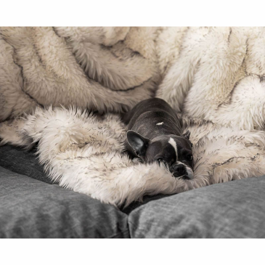 Ollow Comfort Dog Blanket