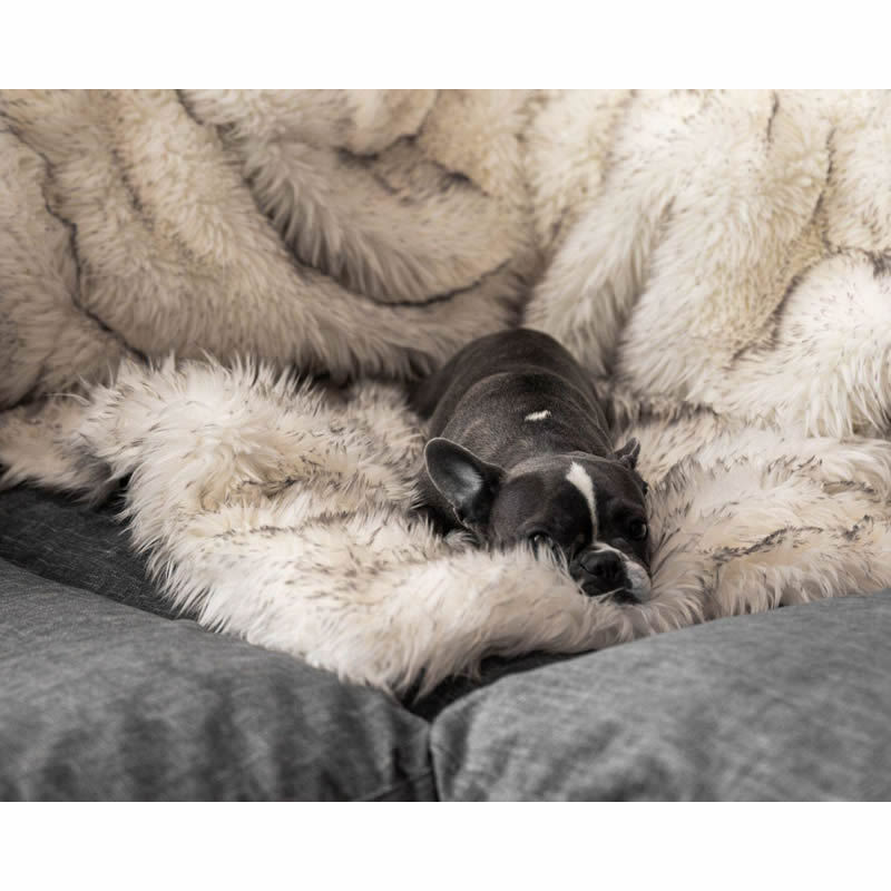Ollow Comfort Dog Blanket