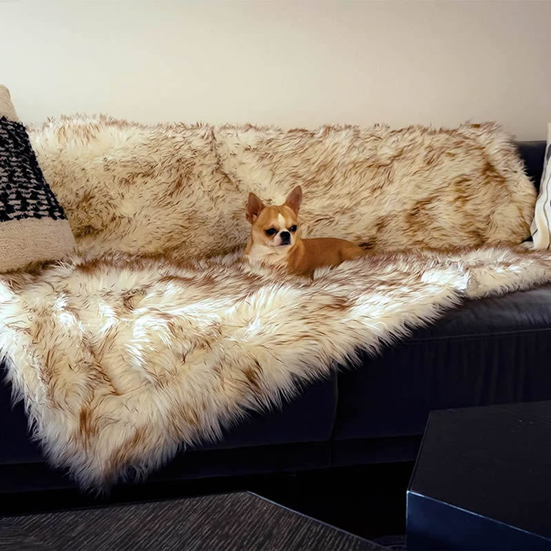 Ollow Comfort Dog Blanket