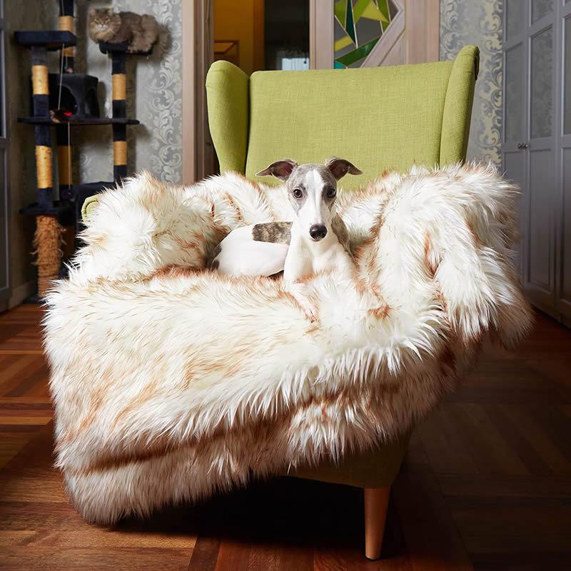Ollow Comfort Dog Blanket